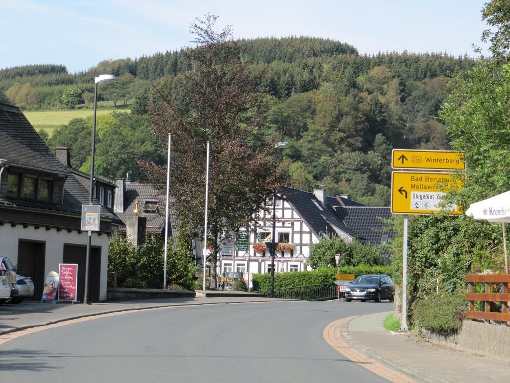 Landhaus Zur Linde Apartment Winterberg Ngoại thất bức ảnh
